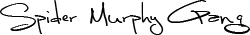 signatur-trans